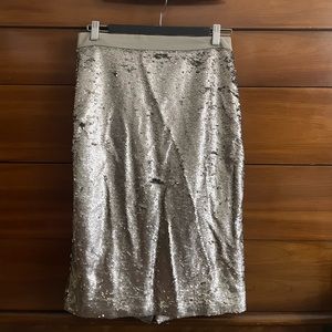 Pewter Sequin Skirt
